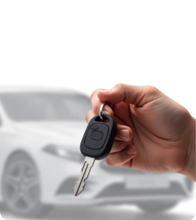 Car rentals for tourists