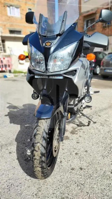 shitet SUZUKI