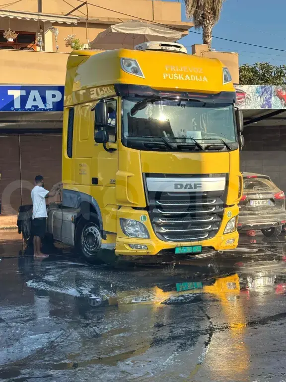 Kok daf per shitje
