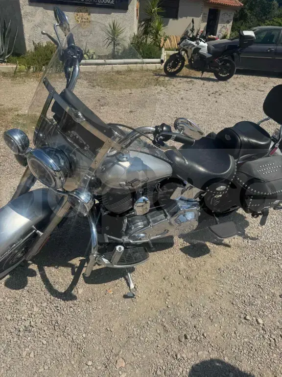 Harley davidson softail