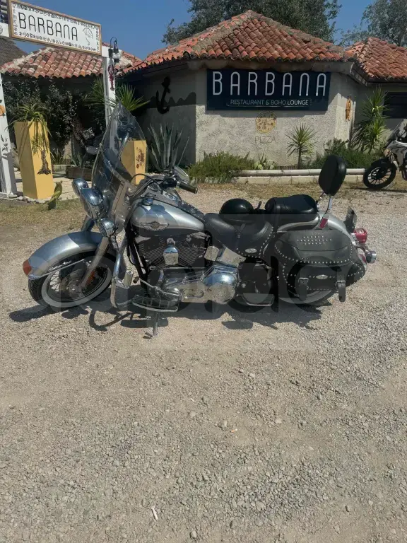 Harley davidson softail