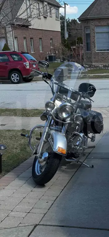 Harley davidson softail