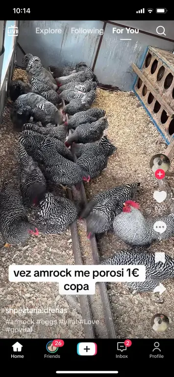 Kerkohet punetor Pularie