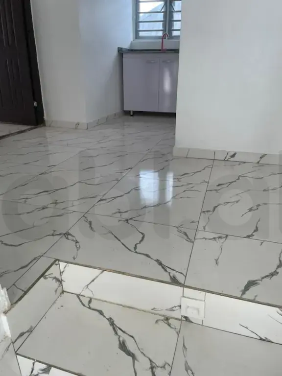PLLAKASHTRUES – SHËRBIM PROFESIONAL