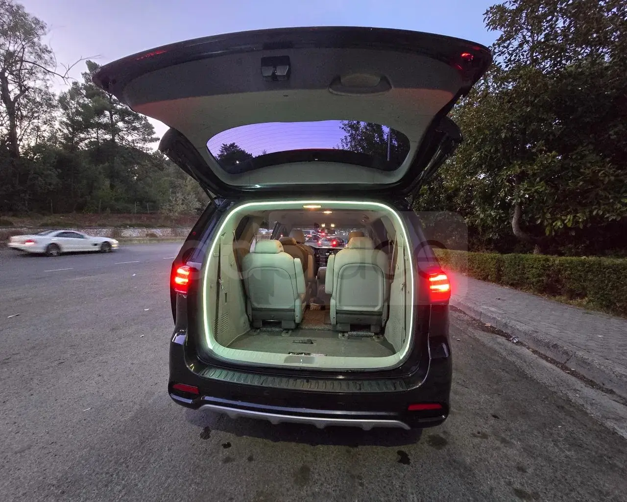 Kia Carnival I 2019