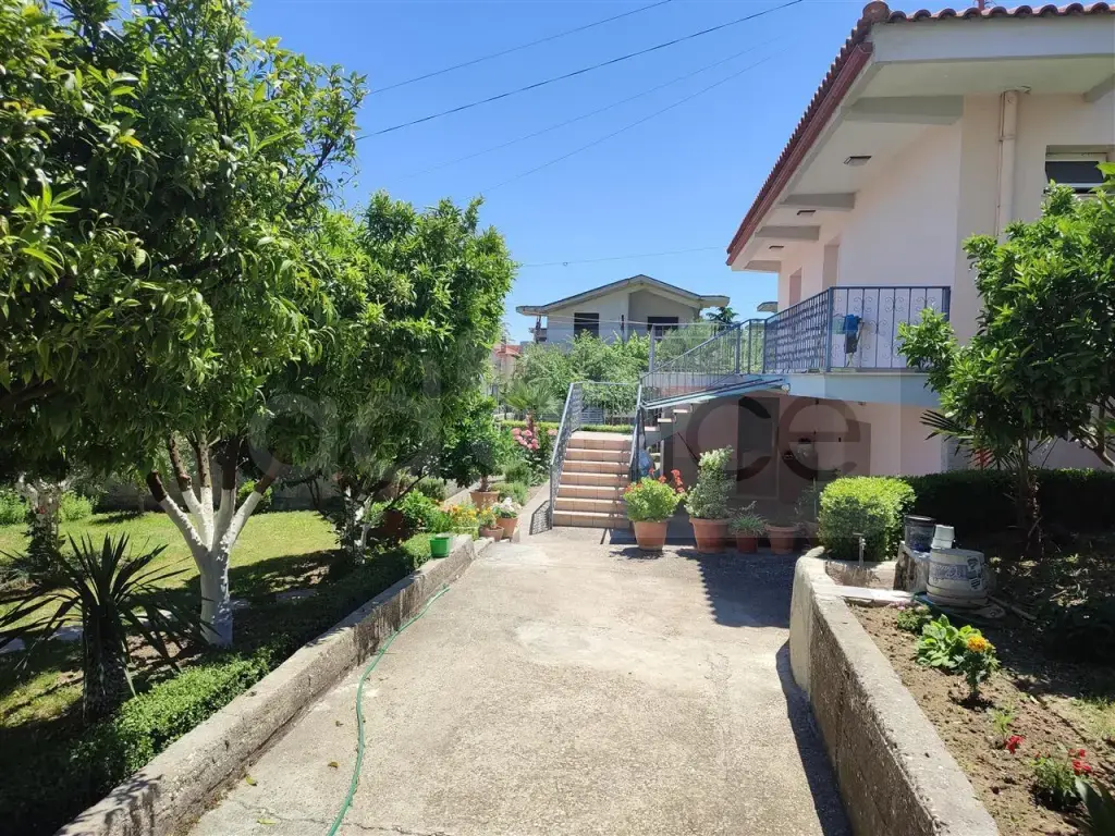 Vilë  19m²