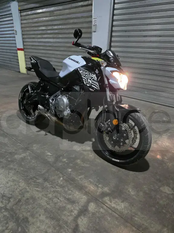 Kawasaki ER650 2019