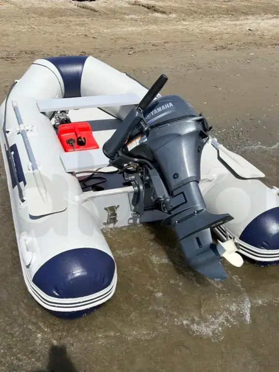 Gomone 290 / Yamaha F9.9