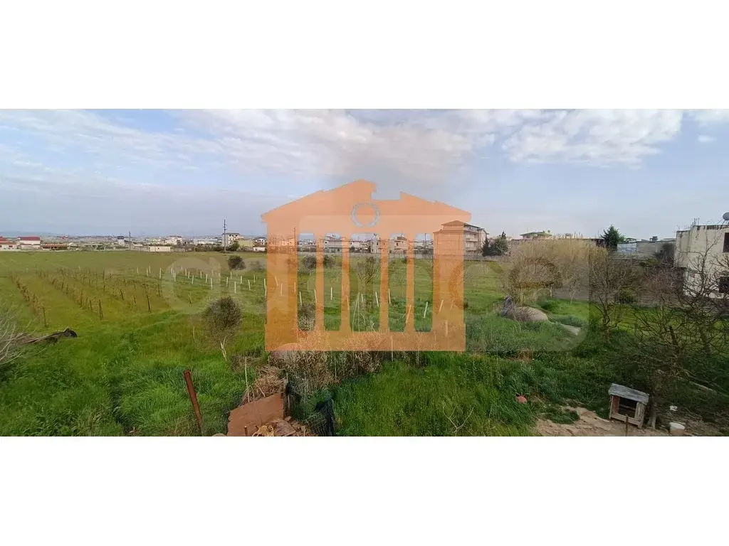 Parcela toke 8000 m²