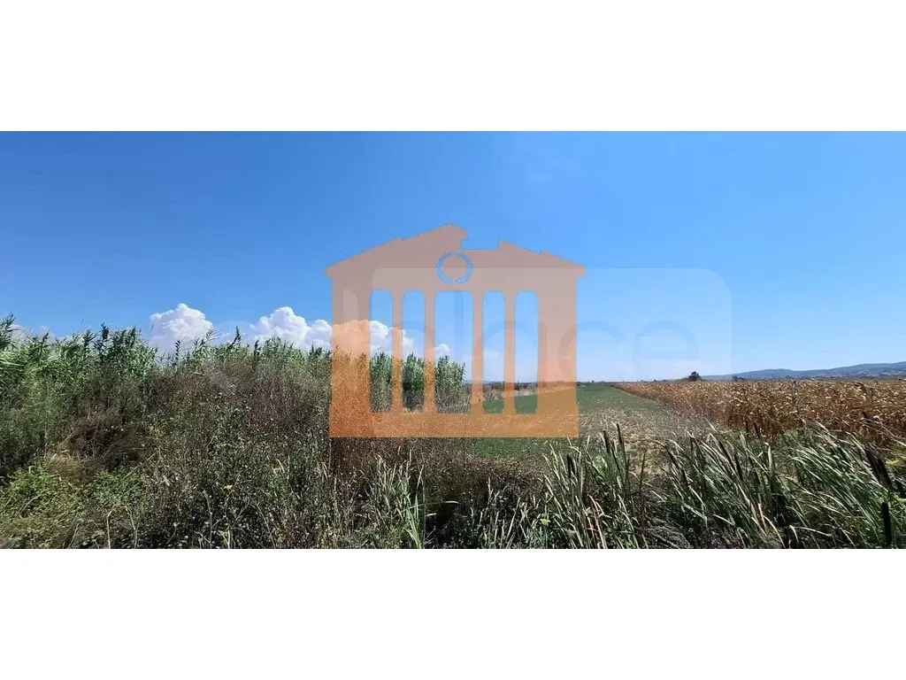 Parcela toke 7430 m²