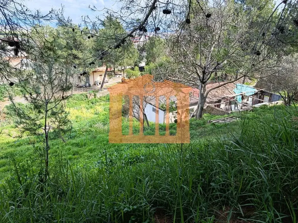 Pasuri të palujtshme komerciale 600 m²