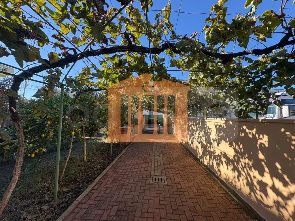 Vilë 502 m² 1 kati