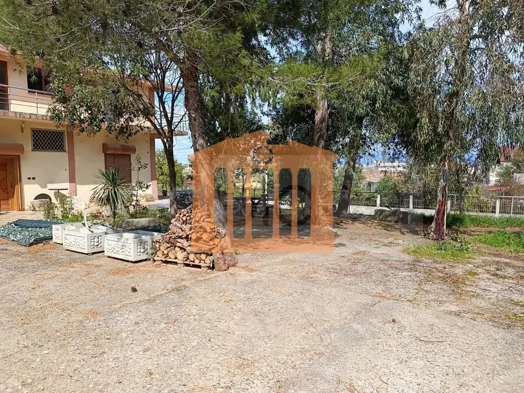Pasuri të palujtshme komerciale 600 m²