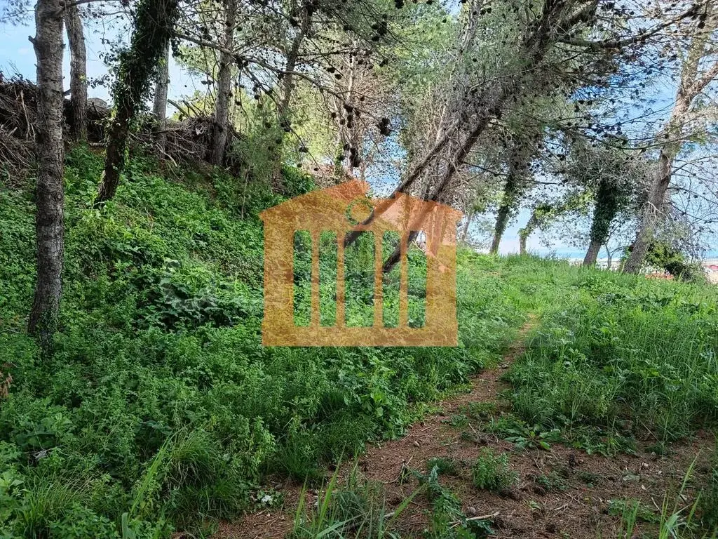 Pasuri të palujtshme komerciale 600 m²