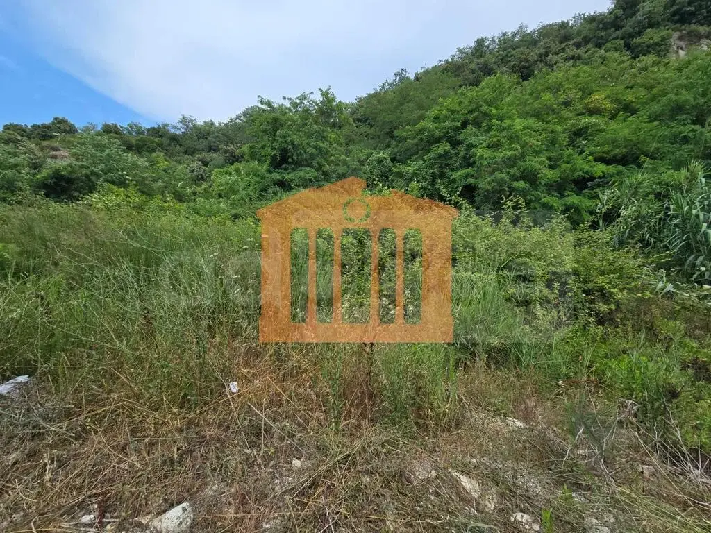 Parcela toke 3450 m²