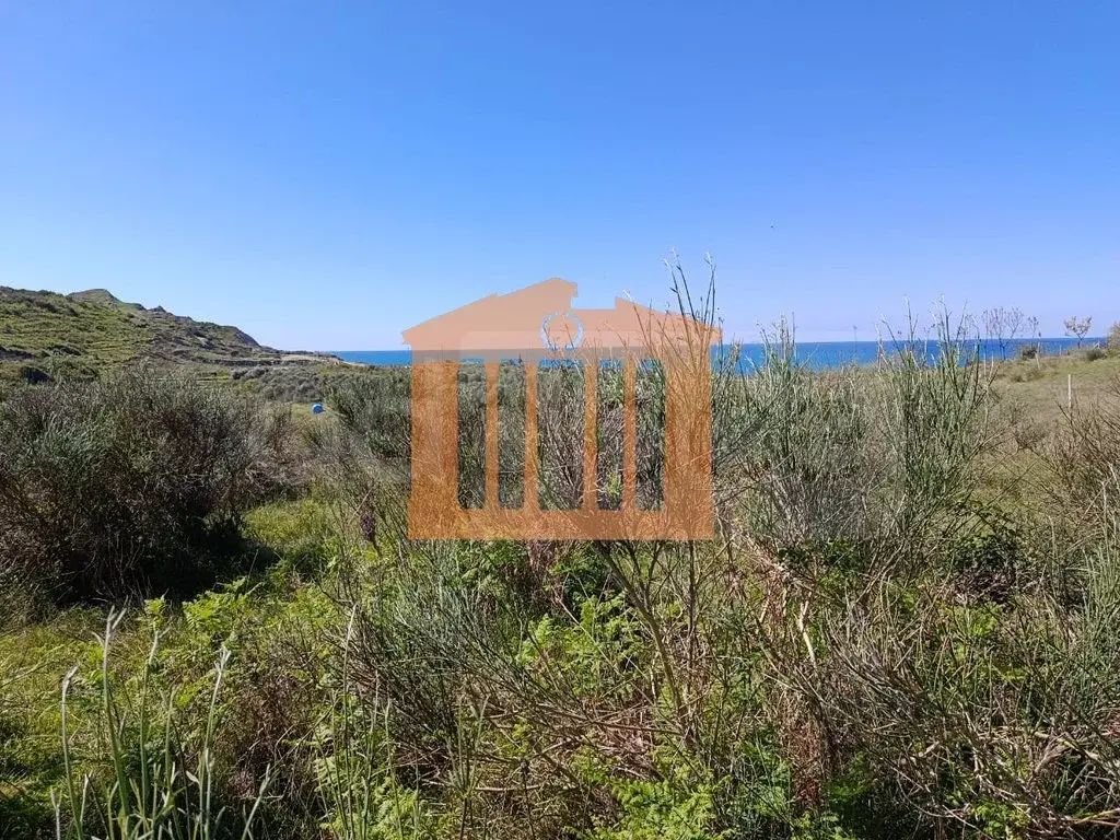 Parcela toke 10000 m²