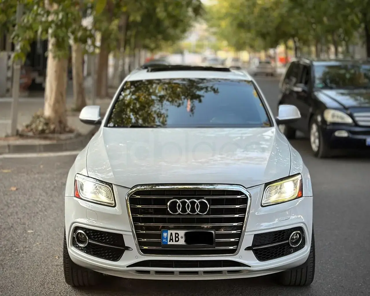 Audi SQ5 Typ 8R 2015
