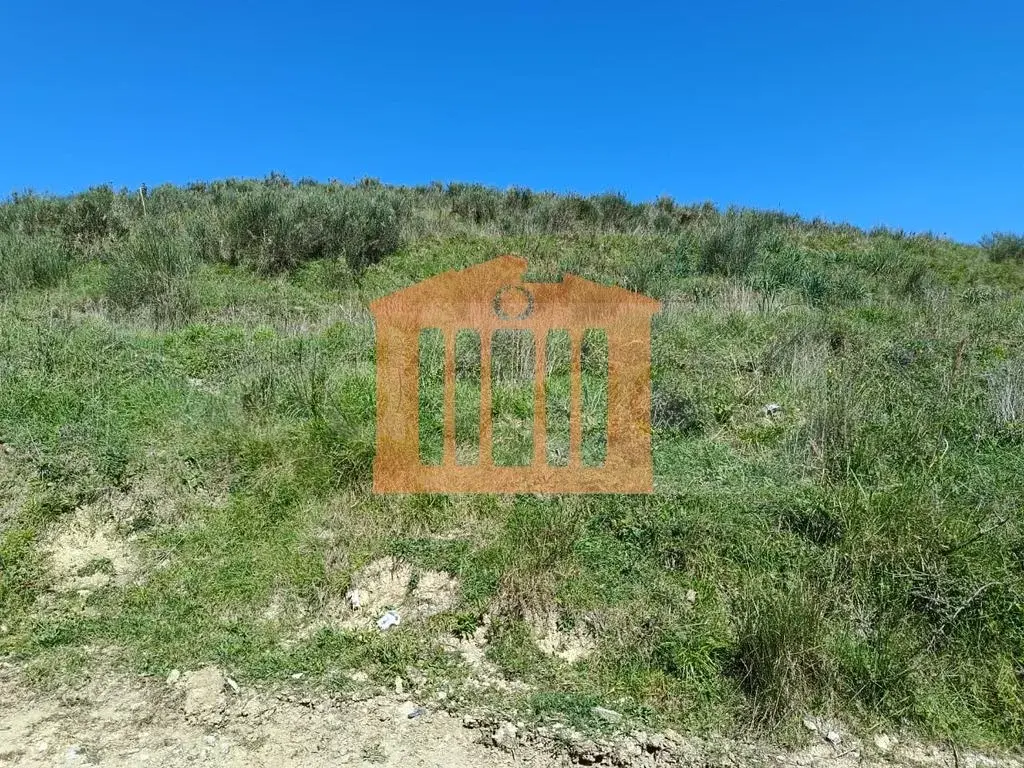 Parcela toke 10000 m²