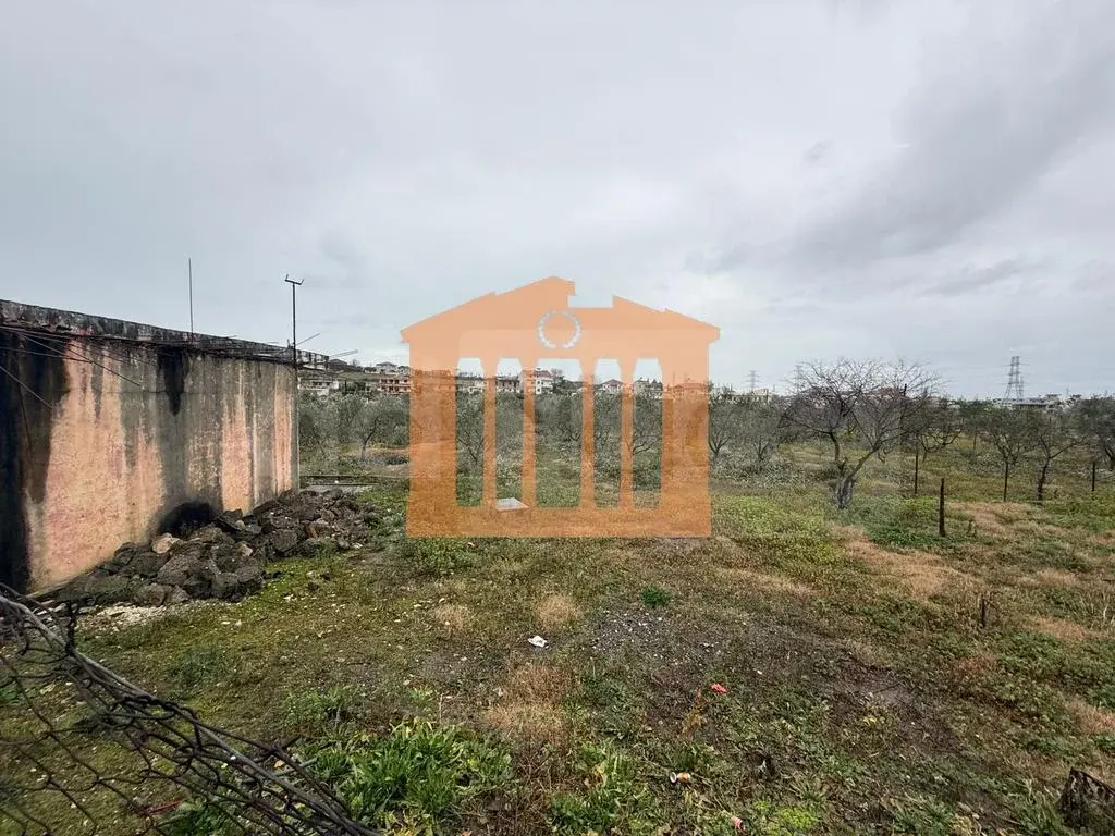 Parcela toke 4560 m²