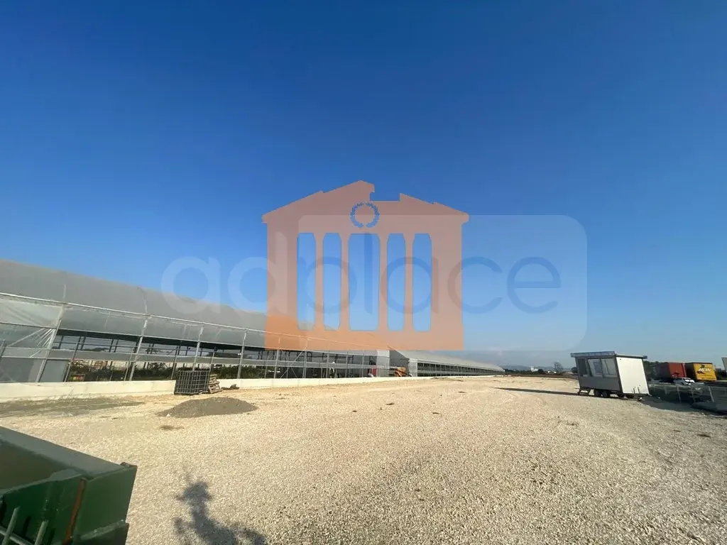 Apartament 4000 m²