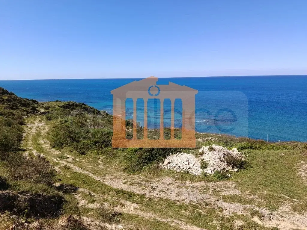 Parcela toke 10000 m²