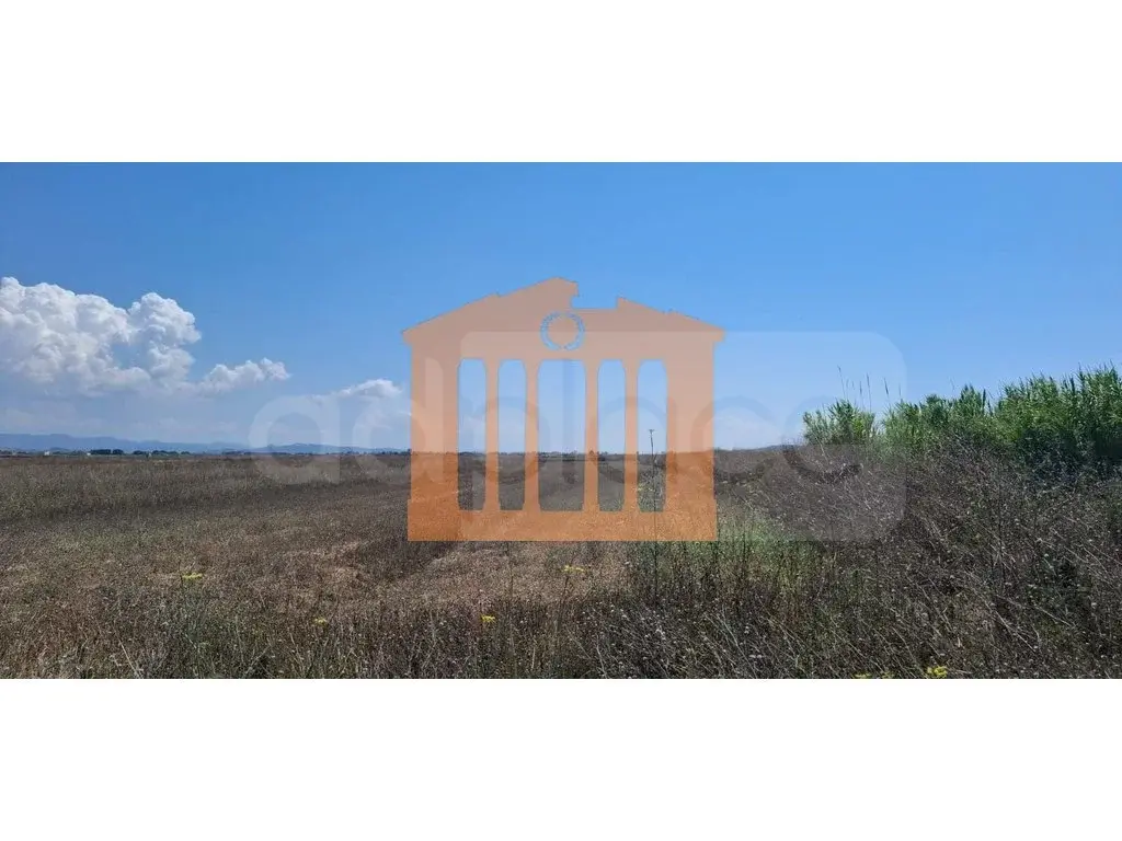 Parcela toke 7430 m²