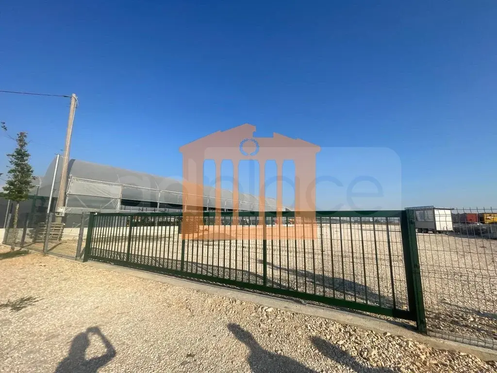 Apartament 4000 m²