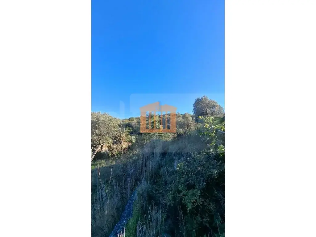Parcela toke 950 m²