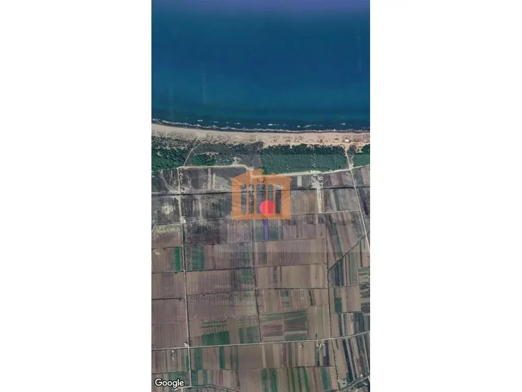 Parcela toke 3900 m²