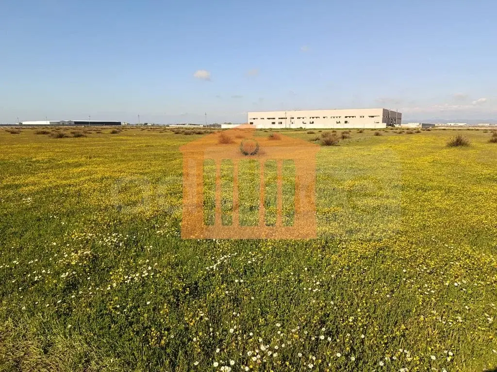 Parcela toke 4000 m²