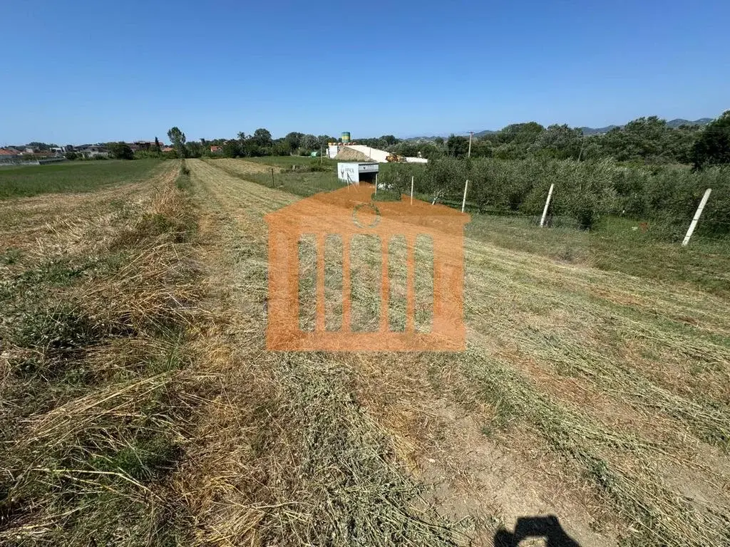 Parcela toke 1800 m²