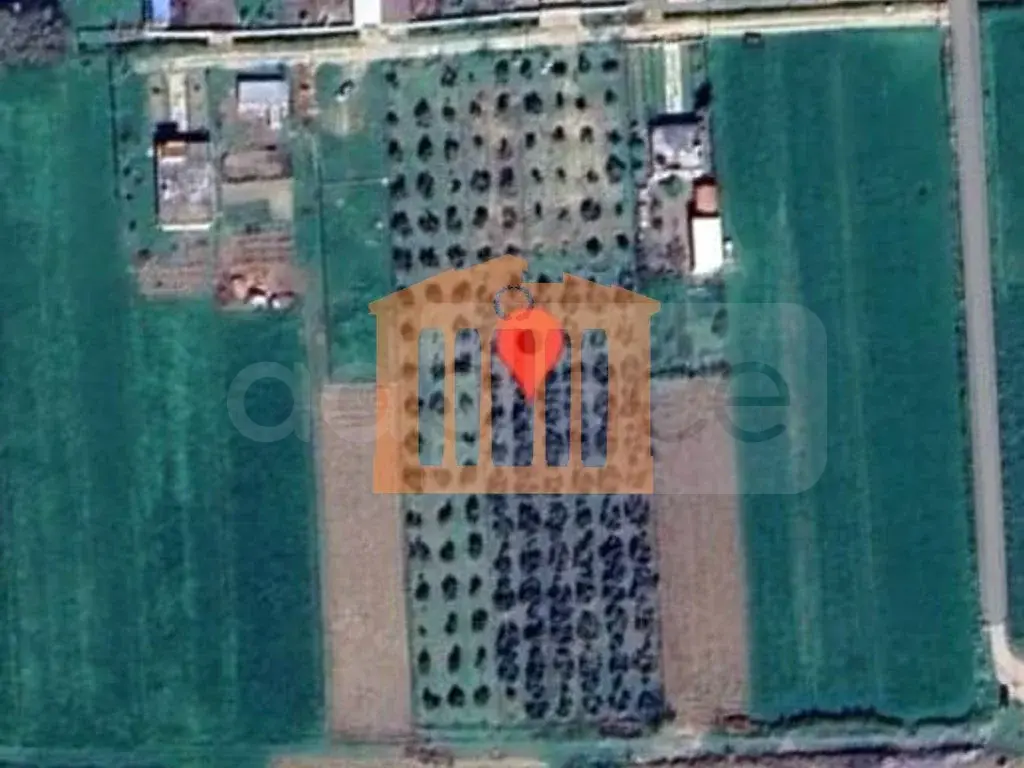 Parcela toke 8100 m²