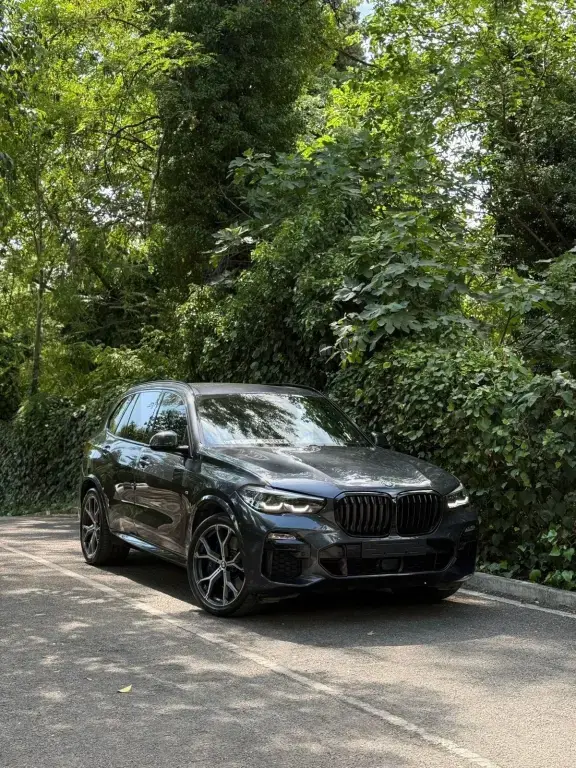 BMW X5 G05  2020, 134 000 km