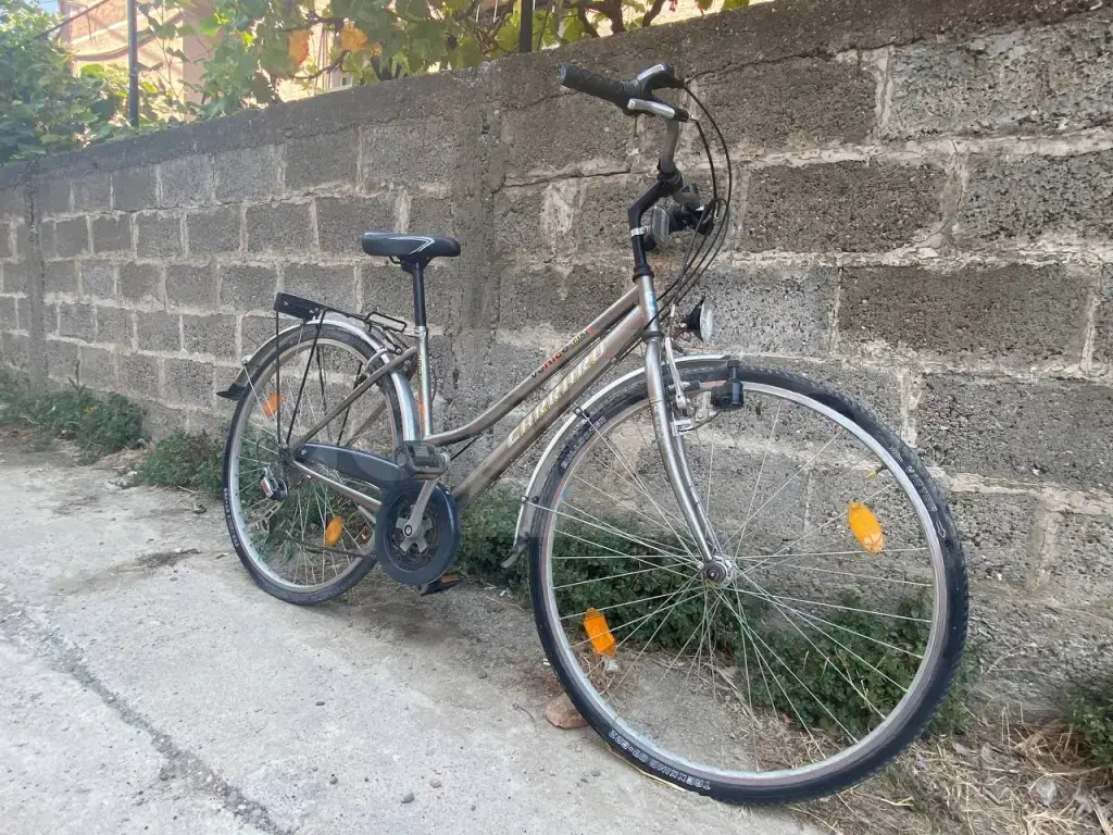 Riparim Biçikletash