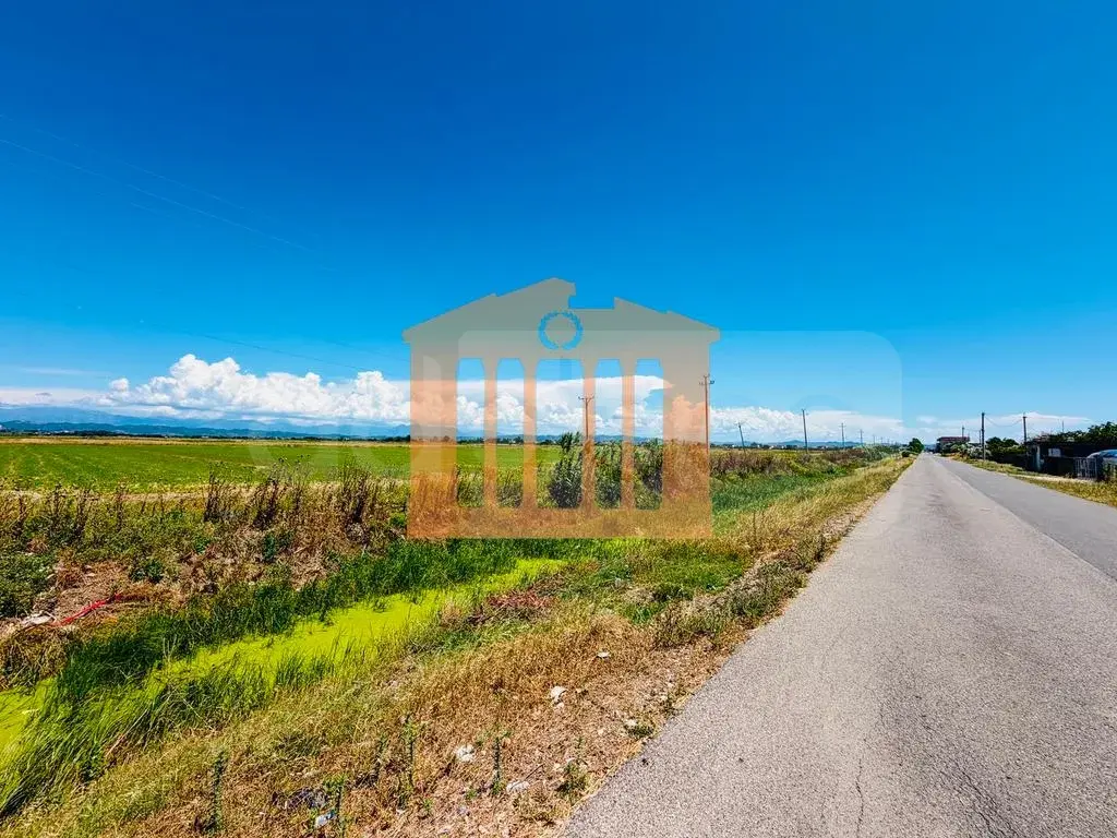 Parcela toke 15150 m²
