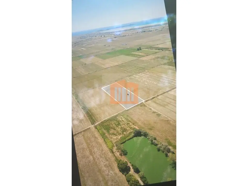 Parcela toke 8000 m²