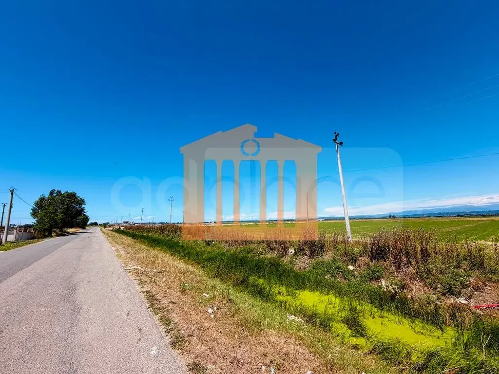 Parcela toke 15150 m²