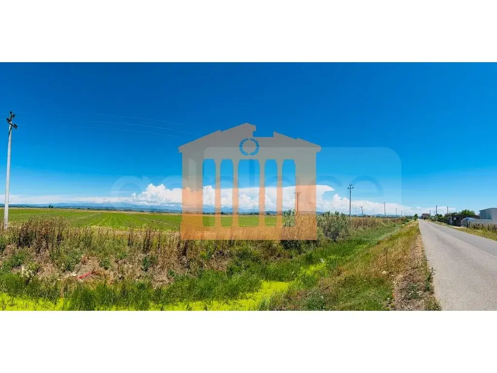 Parcela toke 15150 m²