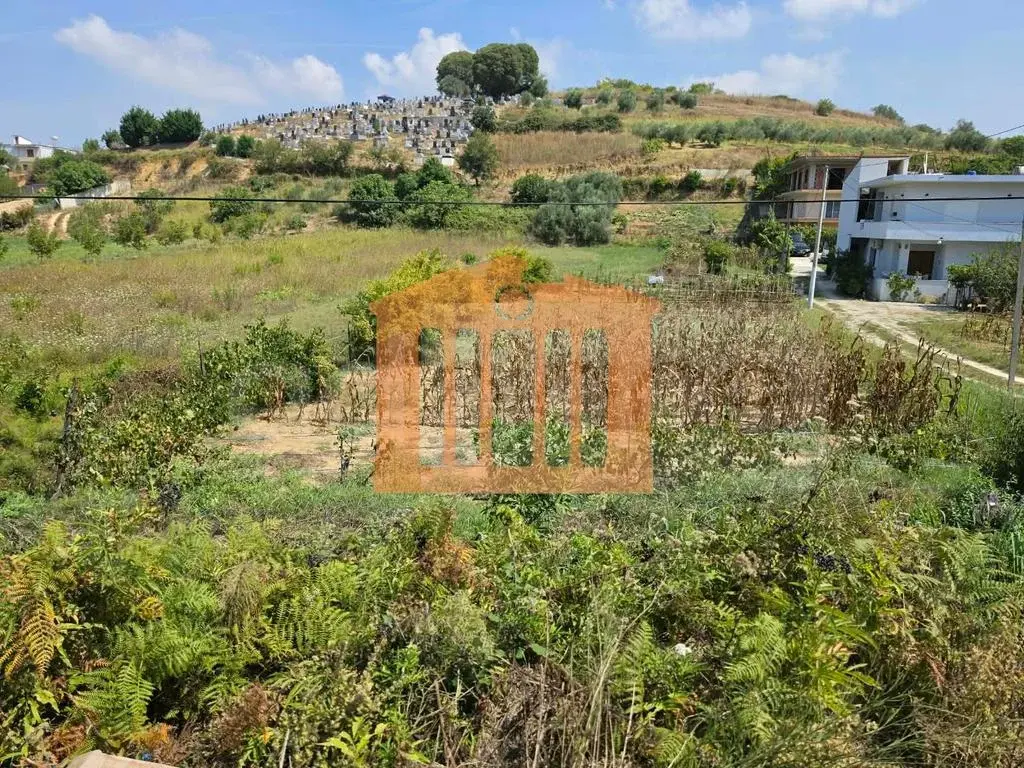Parcela toke 748 m²