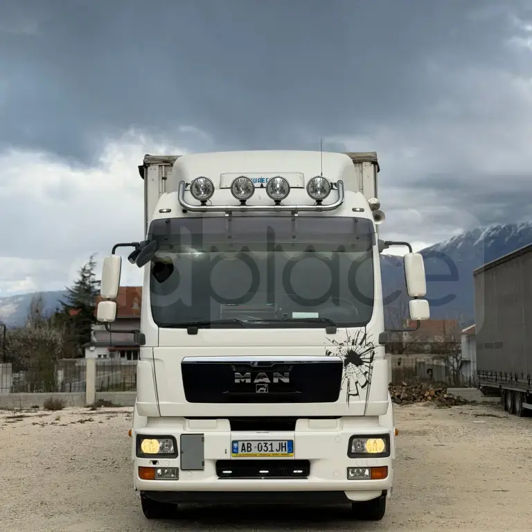 Man TGM 15.290 shitet ose nderrohet
