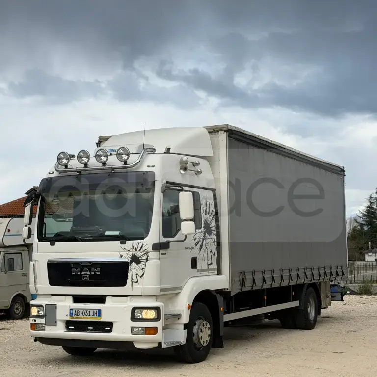 Man TGM 15.290 shitet ose nderrohet