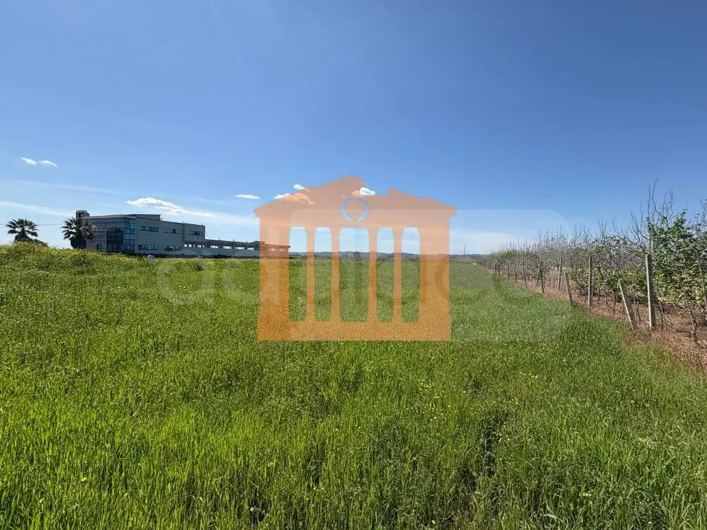 Parcela toke 2000 m²
