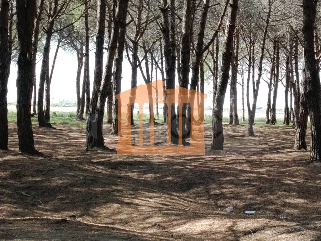 Parcela toke 30000 m²
