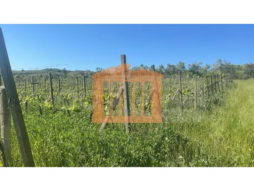 Parcela toke 22000 m²