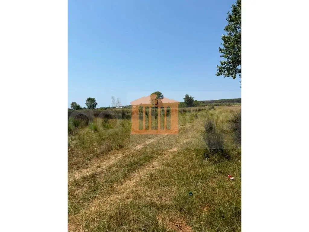 Parcela toke 10003 m²
