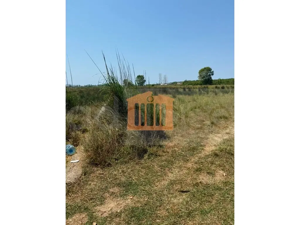 Parcela toke 10003 m²