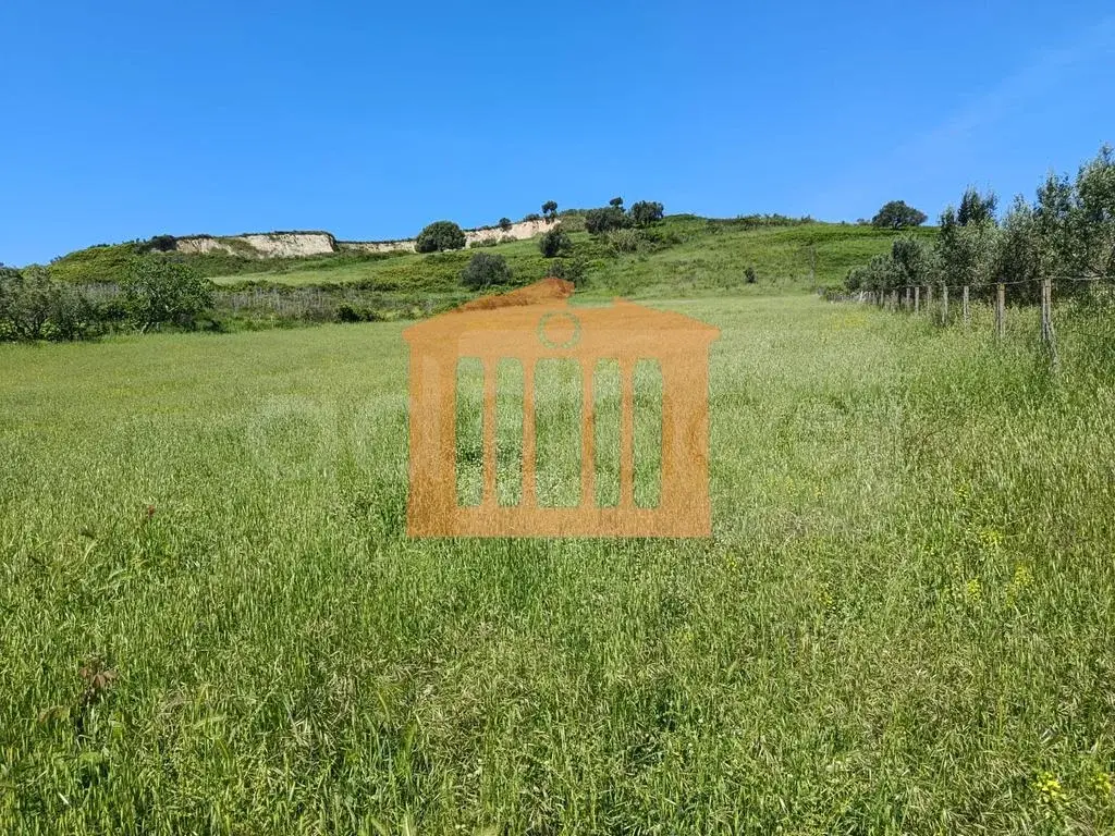 Parcela toke 10700 m²