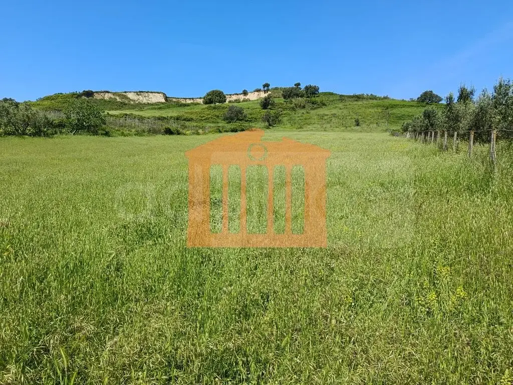Parcela toke 10700 m²