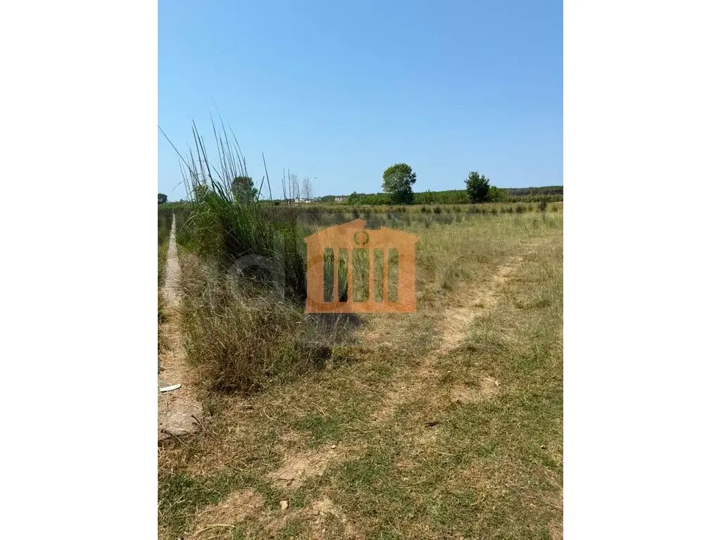 Parcela toke 10003 m²
