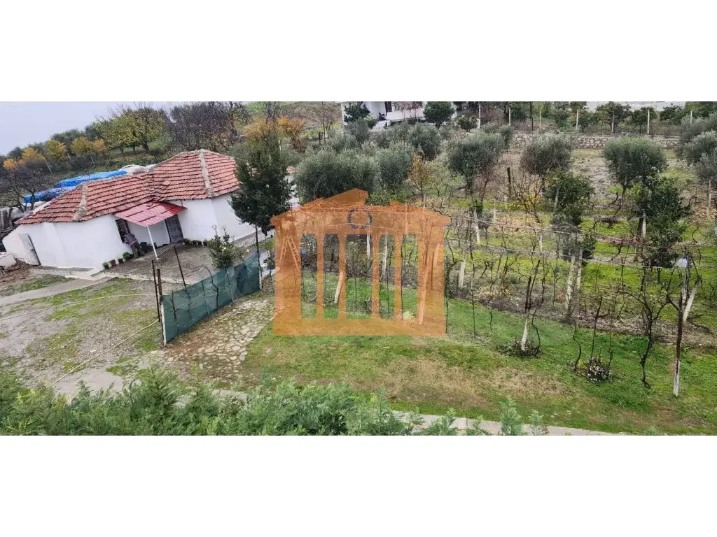 Vilë 7743 m² 1 kati
